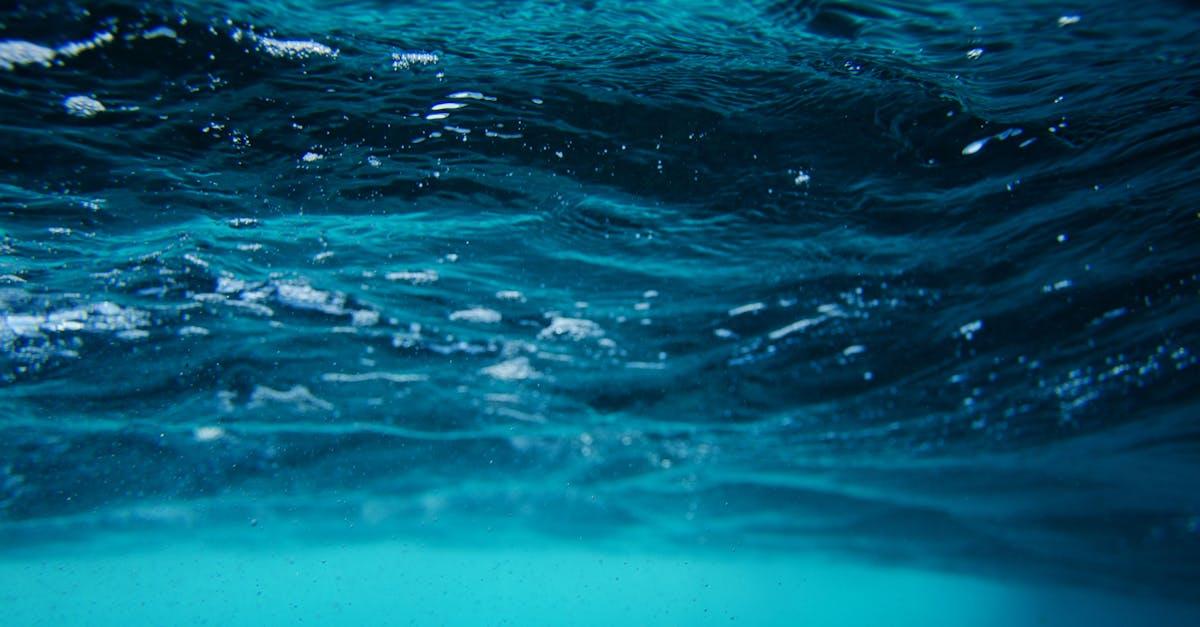 découvrez les merveilles de l'océan, un vaste monde rempli de biodiversité, de paysages sous-marins époustouflants et d'aventures inoubliables. plongez dans l'univers fascinant des créatures marines et explorez les enjeux de la préservation de cet écosystème vital.