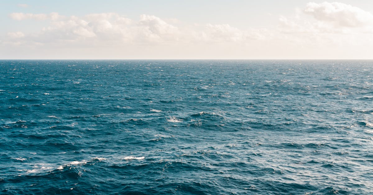 découvrez la beauté et la diversité de l'océan, un vaste monde rempli de merveilles marines, de paysages à couper le souffle et d'une incroyable biodiversité. plongez dans l'aventure et explorez les mystères des profondeurs marines.