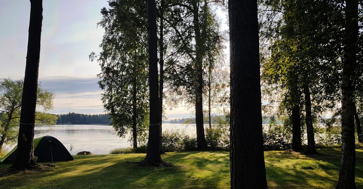 découvrez une variété d'activités de plein air qui vous rapprochent de la nature. que vous soyez passionné de randonnée, de kayak, de camping ou d'escalade, trouvez des idées et des conseils pour profiter pleinement de vos aventures en extérieur.