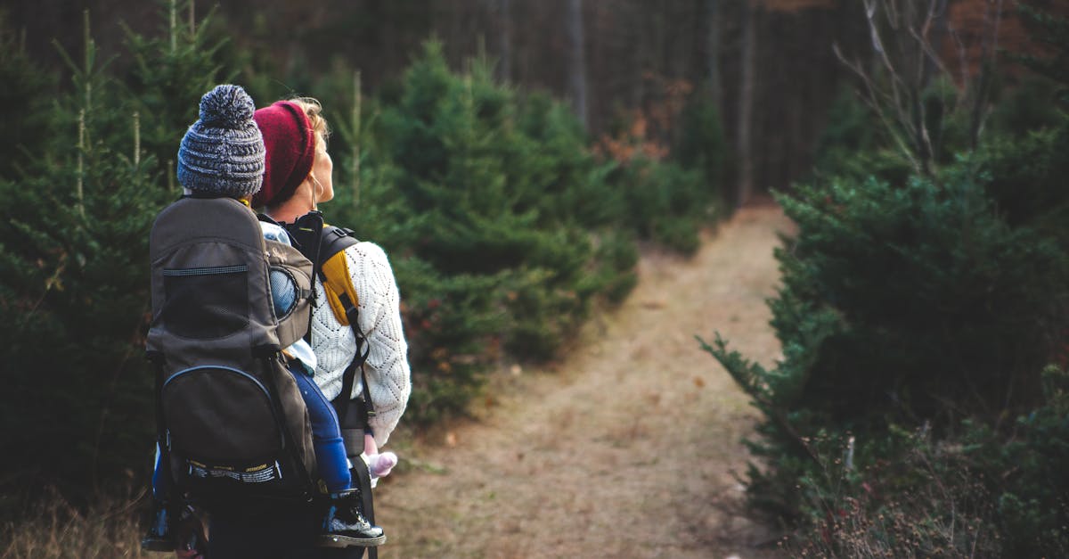 découvrez des conseils et stratégies efficaces pour le parenting, qu'il s'agisse de l'éducation des enfants, de la gestion des conflits ou de l'encouragement de l'autonomie. apprenez à créer un environnement familial sain et épanouissant pour vos enfants.
