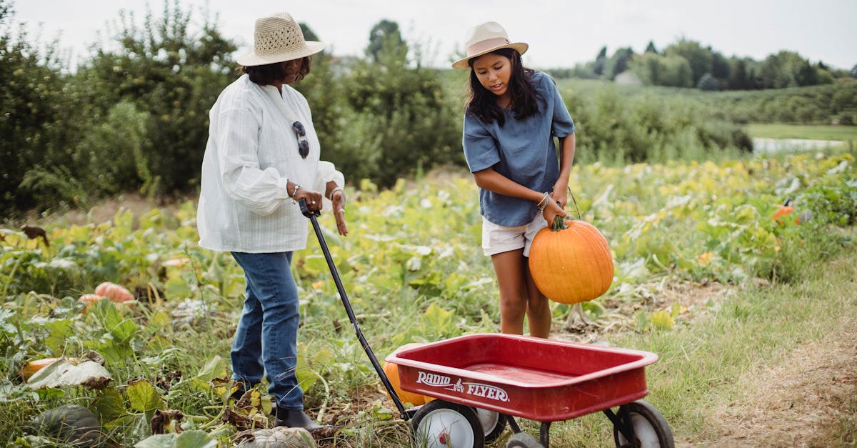 découvrez l'excitation de la cueillette de citrouilles ! participez à une journée en plein air dans nos champs colorés, où toute la famille peut choisir la citrouille parfaite pour halloween. profitez d'activités amusantes, d'attractions et de délices saisonniers. une expérience inoubliable à ne pas manquer !