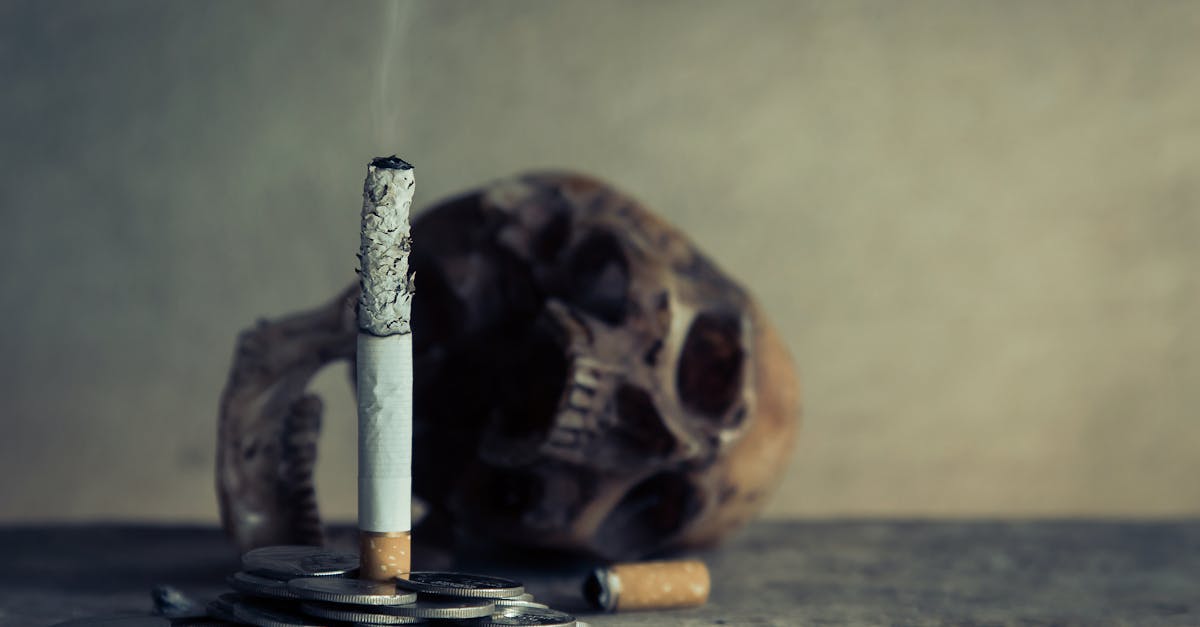 découvrez l'art du smoking, un vêtement emblématique de l'élégance masculine. explorez les différentes coupes, styles et conseils pour porter avec distinction cette tenue exceptionnelle lors de vos événements spéciaux.