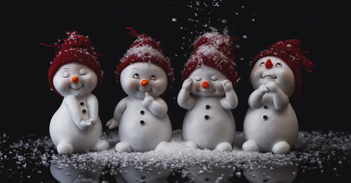 découvrez le monde enchanteur des bonhommes de neige ! apprenez à en fabriquer, admirez des créations uniques et plongez dans la magie hivernale. un guide complet pour petits et grands passionnés de l'hiver.