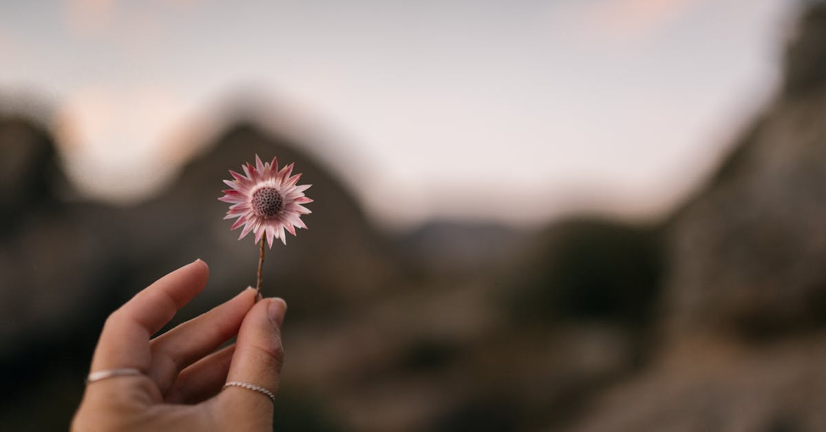 découvrez les effets de la succion du pouce chez les enfants, les méthodes pour les aider à arrêter cette habitude et les impacts potentiels sur leur développement dentaire et émotionnel.