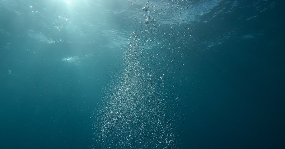 découvrez l'importance de l'eau pour notre planète et notre santé. apprenez-en plus sur ses propriétés, son utilisation et les défis liés à la gestion de cette ressource précieuse.