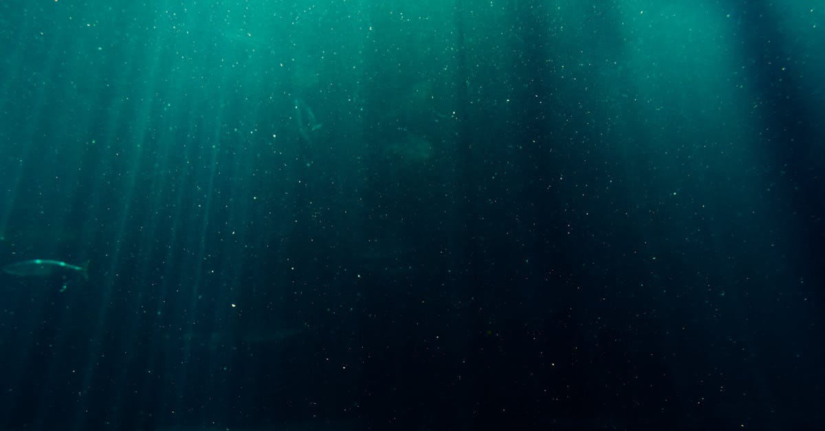découvrez l'importance de l'eau pour notre planète et notre santé. en savoir plus sur les différentes sources d'eau, son cycle naturel et des conseils pour économiser cette ressource précieuse.