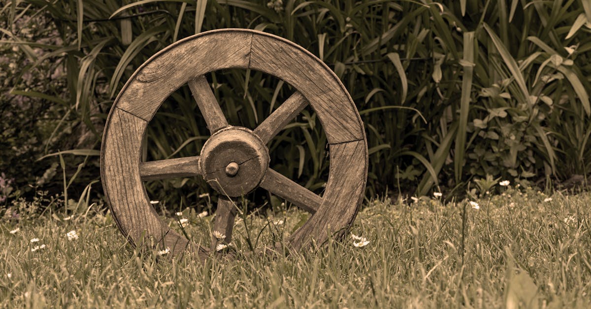 découvrez tout sur les roues : leur histoire, différents types, applications et innovations. explorez comment cet élément essentiel du transport et de la mécanique a évolué pour améliorer nos déplacements au quotidien.