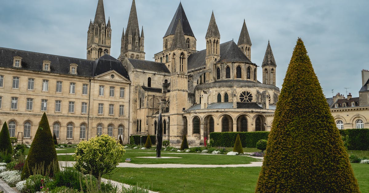 découvrez l'univers d'étienne, un prénom riche en histoire et en personnalités célèbres. explorez ses origines, sa signification et son utilisation à travers le temps, ainsi que les traits de caractère souvent associés à ceux qui portent ce nom.