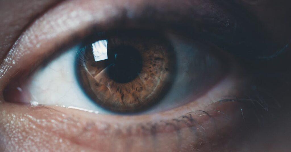 découvrez des conseils essentiels pour maintenir votre santé oculaire. apprenez les meilleures pratiques pour protéger vos yeux, les aliments bénéfiques pour la vision et les exercices simples à intégrer dans votre quotidien.