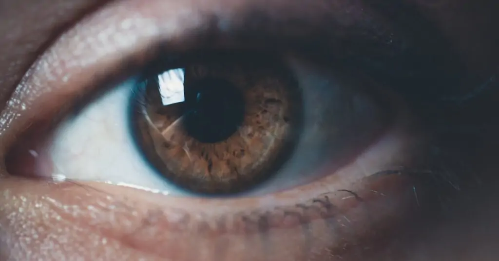découvrez des conseils essentiels pour maintenir votre santé oculaire. apprenez les meilleures pratiques pour protéger vos yeux, les aliments bénéfiques pour la vision et les exercices simples à intégrer dans votre quotidien.