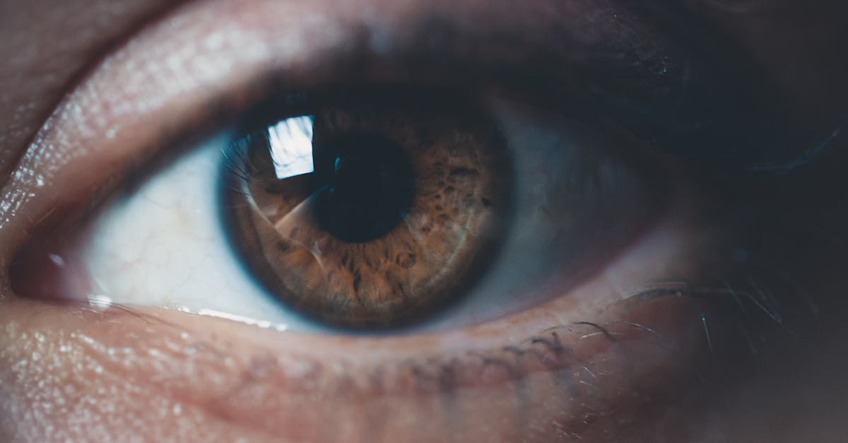 découvrez des conseils essentiels pour maintenir votre santé oculaire. apprenez les meilleures pratiques pour protéger vos yeux, les aliments bénéfiques pour la vision et les exercices simples à intégrer dans votre quotidien.