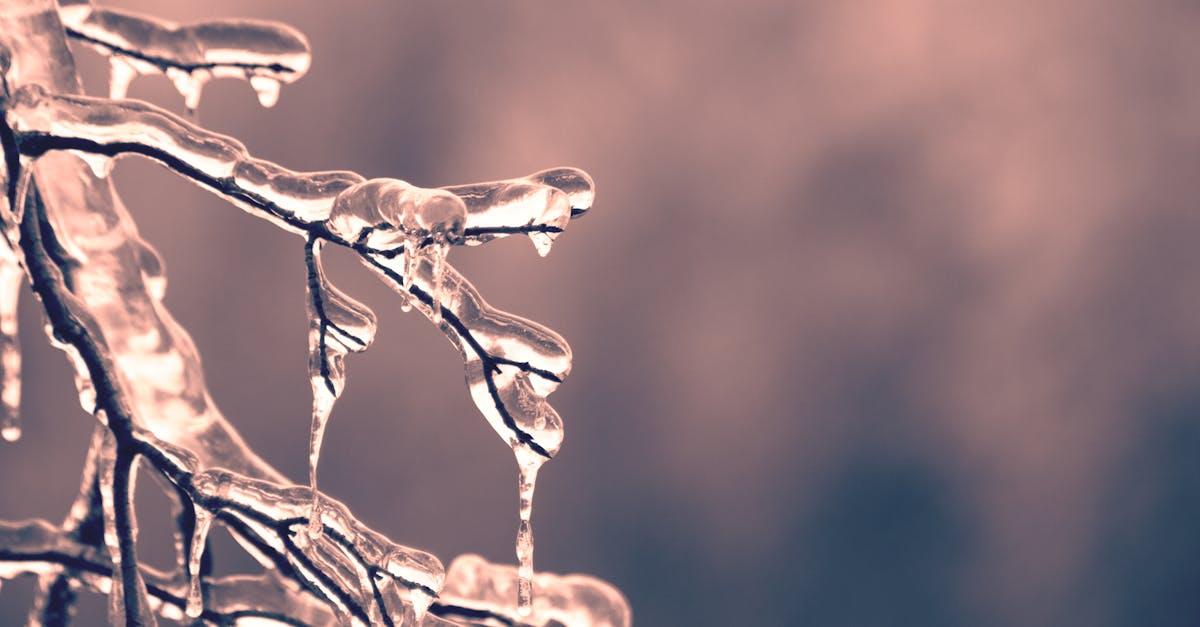découvrez le phénomène de l'engelure, ou frostbite, ses causes, symptômes et traitements. apprenez comment prévenir les dommages causés par le froid sur votre peau et vos extrémités, et restez en sécurité lors de vos activités hivernales.