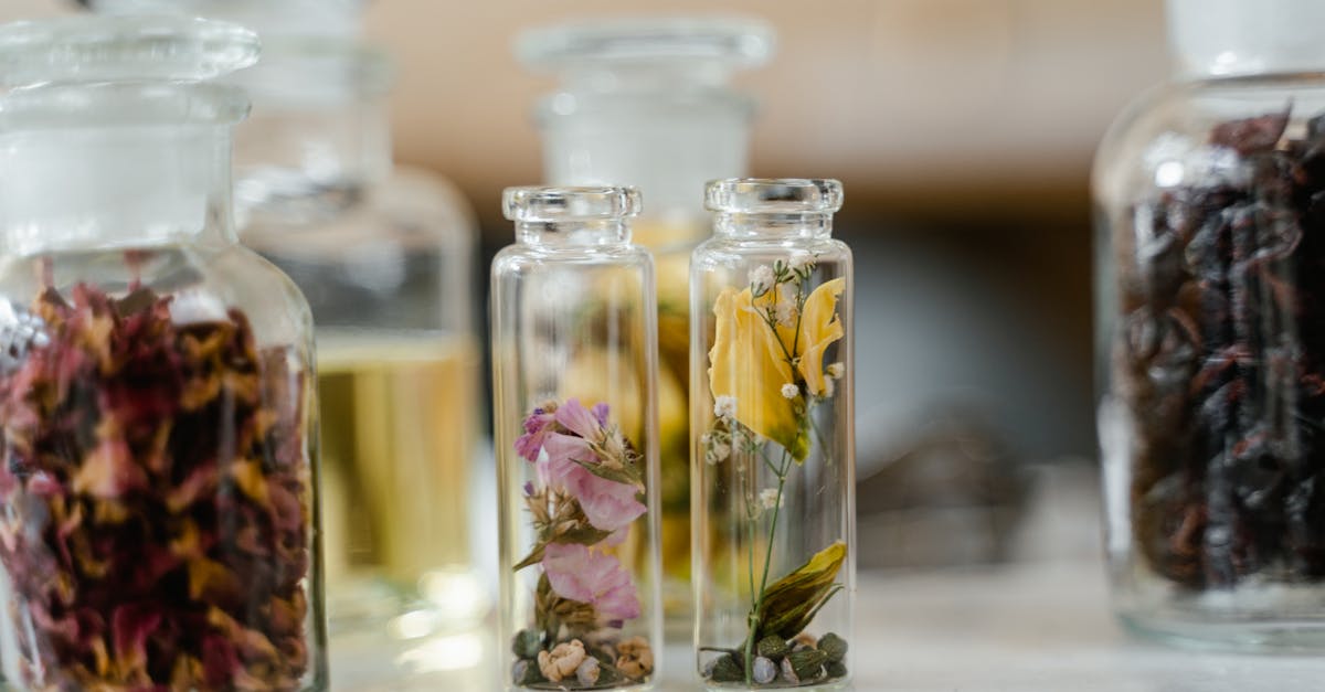 découvrez l'univers fascinant des herbariums, ces collections de plantes séchées qui préservent la biodiversité et servent de références scientifiques. explorez leur importance dans l'étude des espèces végétales et leur contribution à la recherche écologique.