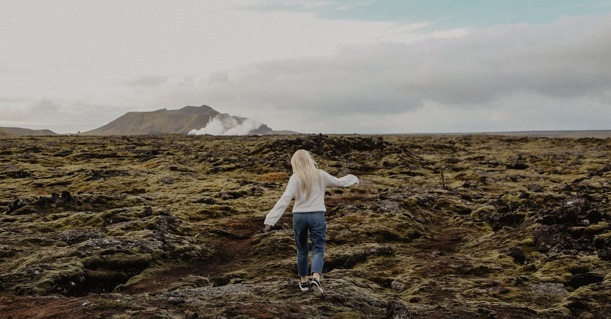 découvrez la beauté sauvage de l'islande, terre de glaciers majestueux, de volcans fascinants et de paysages époustouflants. explorez les geysers, les cascades et les aurores boréales qui font de cette île nordique une destination unique pour les amoureux de la nature et les aventuriers.