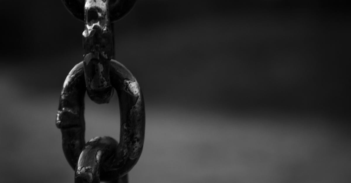 découvrez tout ce qu'il faut savoir sur le fer : ses propriétés, ses usages dans l'industrie et l'alimentation, ainsi que ses bienfaits pour la santé. explorez les différents types de fer et comment intégrer ce minéral essentiel dans votre quotidien.