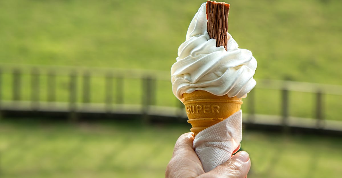 découvrez les délices de la vanille, une épice emblématique qui apporte une touche de douceur et de chaleur à vos desserts, boissons et plats savoureux. plongez dans l'univers aromatique de la vanille et apprenez à l'utiliser en cuisine pour sublimer vos recettes.