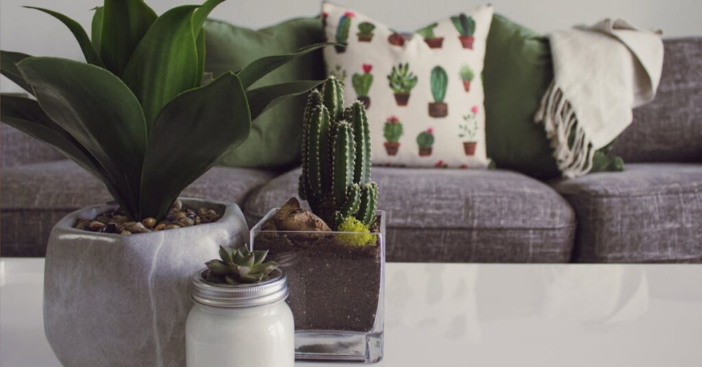 découvrez notre collection de plantes d'intérieur qui apportent une touche de verdure et de fraîcheur à votre espace. parfaites pour purifier l'air et embellir votre maison, nos plantes faciles d'entretien s'adaptent à tous les décors. plongez dans l'univers des plantes d'intérieur et transformez votre habitat en un havre de paix.