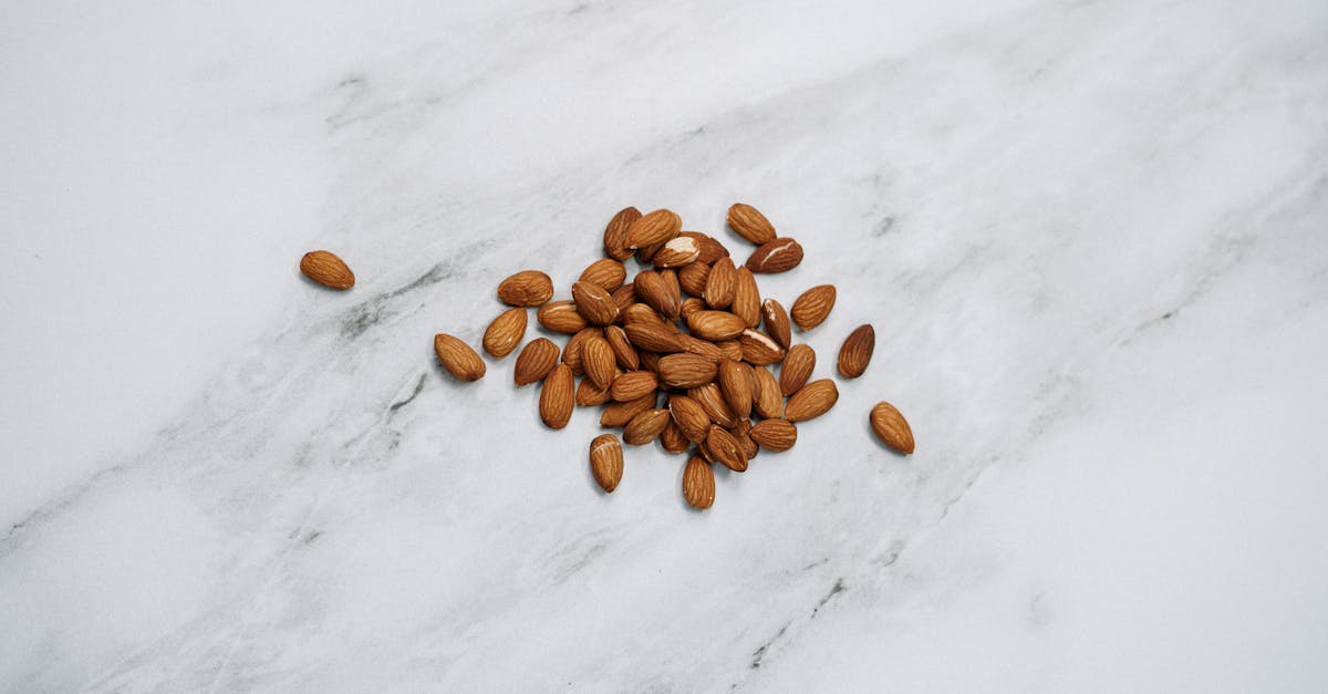 découvrez les amandes, un super aliment riche en nutriments, parfaits pour une alimentation saine. apprenez tout sur leurs bienfaits pour la santé, leurs différentes variétés et comment les intégrer dans vos recettes préférées.