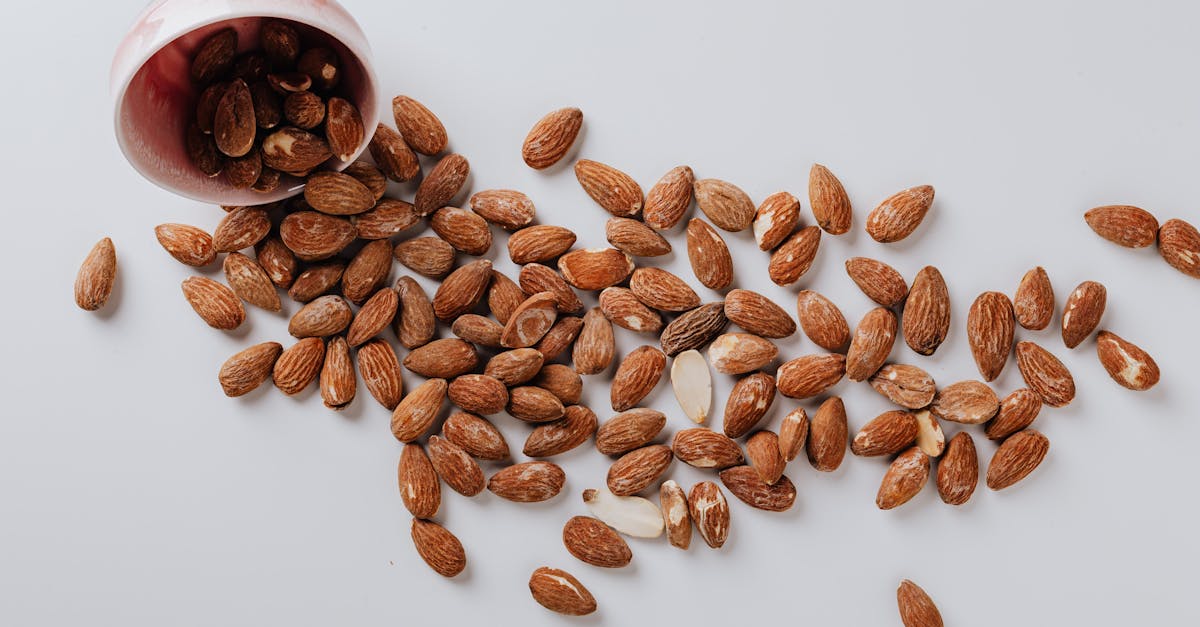 découvrez les amandes, ces délicieuses noix riches en nutriments. apprenez leurs bienfaits pour la santé, leurs multiples utilisations en cuisine et pourquoi elles sont un en-cas idéal. dégustez les amandes sous toutes leurs formes et intégrez-les à votre alimentation pour profiter de leurs vertus.