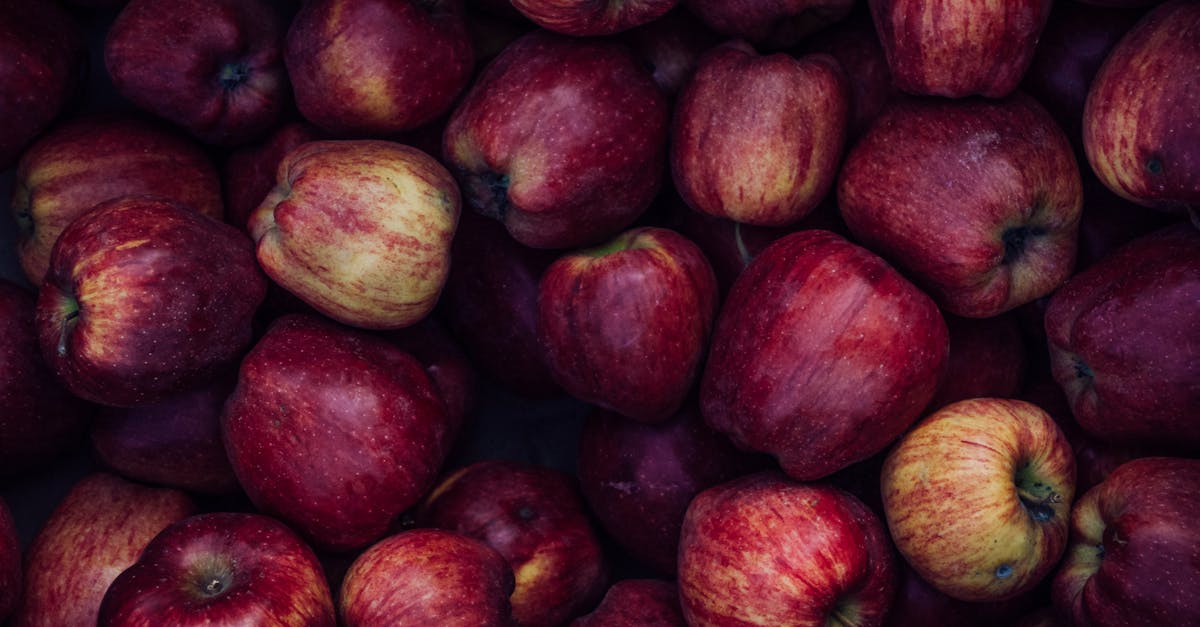 découvrez l'expérience unique de la cueillette de pommes. profitez d'une journée en plein air en récoltant des pommes juteuses et savoureuses dans un verger pittoresque. parfait pour les familles, les couples ou les amis, c'est une occasion idéale de créer des souvenirs tout en savourant les délices de l'automne.