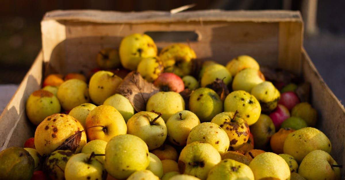 venez vivre une expérience unique de cueillette de pommes dans nos vergers. profitez d'une journée en pleine nature, récoltez des pommes fraîches et savoureuses, et découvrez différents variétés tout en vous amusant en famille ou entre amis.