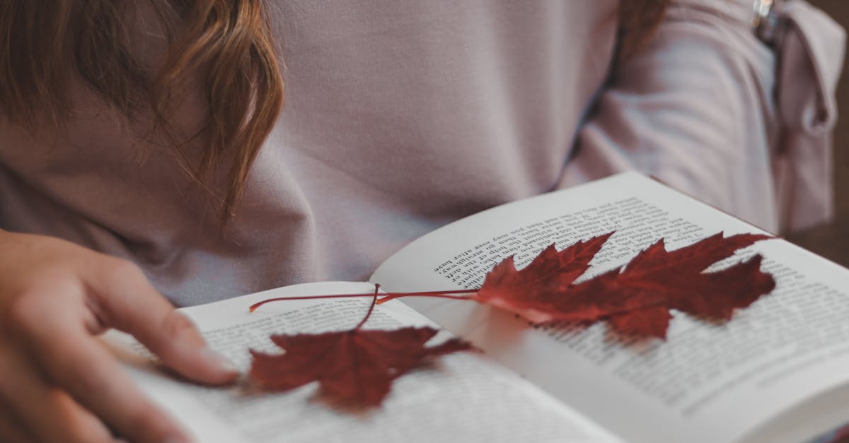 découvrez la beauté enchanteresse des feuilles d'automne, avec leurs couleurs éclatantes et leur douce mélancolie. plongez dans l'atmosphère magique de cette saison, où chaque feuille raconte une histoire et invite à la contemplation.