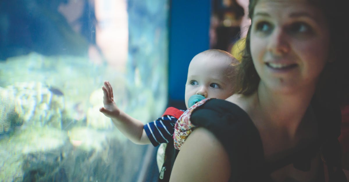 découvrez l'univers fascinant des bébés poissons dans notre guide d'introduction. apprenez tout sur leur développement, leurs soins et les meilleures pratiques pour les élever en aquarium.