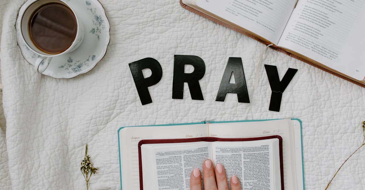 découvrez la signification et l'origine des noms bibliques. explorez une liste riche de prénoms tirés des écritures, accompagnés de leur histoire et de leur importance spirituelle. que vous recherchiez un prénom unique ou une inspiration pour votre famille, plongez dans le monde fascinant des noms bibliques.