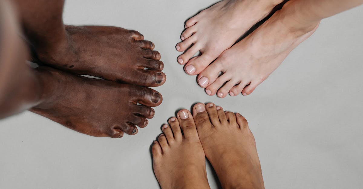 découvrez les différentes parties du corps humain avec notre guide complet. explorez les fonctions, l'anatomie et l'importance de chaque organe, muscle et système pour mieux comprendre le fonctionnement de votre corps.