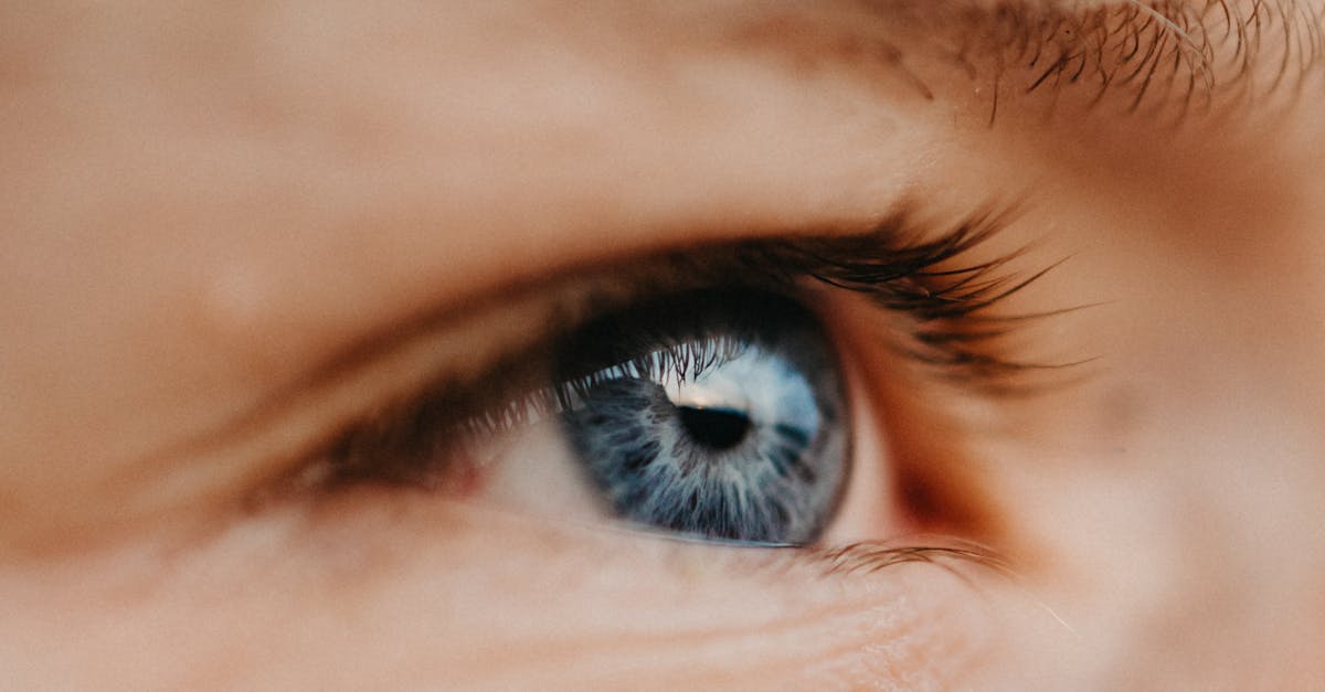découvrez notre guide complet sur les parties du corps humain. apprenez à reconnaître et à comprendre la fonction de chaque organe et membre, tout en explorant des faits fascinants sur l'anatomie et la physiologie. idéal pour les étudiants, les passionnés de santé et toute personne curieuse d'en savoir plus sur le corps humain.