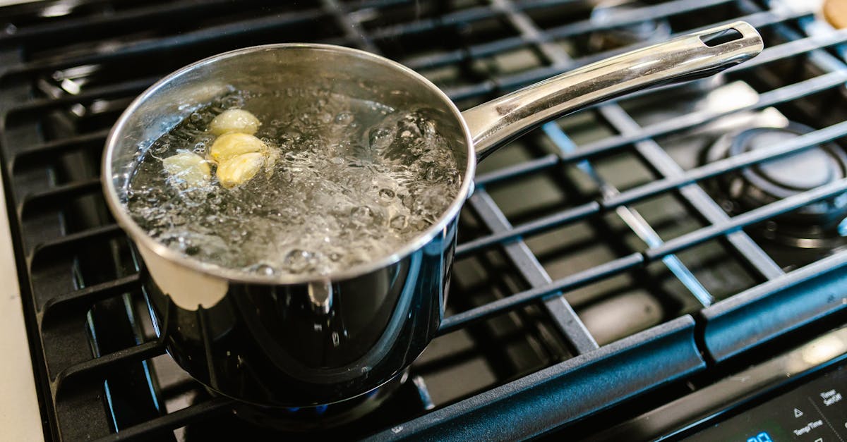 découvrez l'art de faire bouillir avec nos conseils pratiques et recettes savoureuses. maîtrisez la technique de l'ébullition pour préparer des plats délicieux et savoureux.