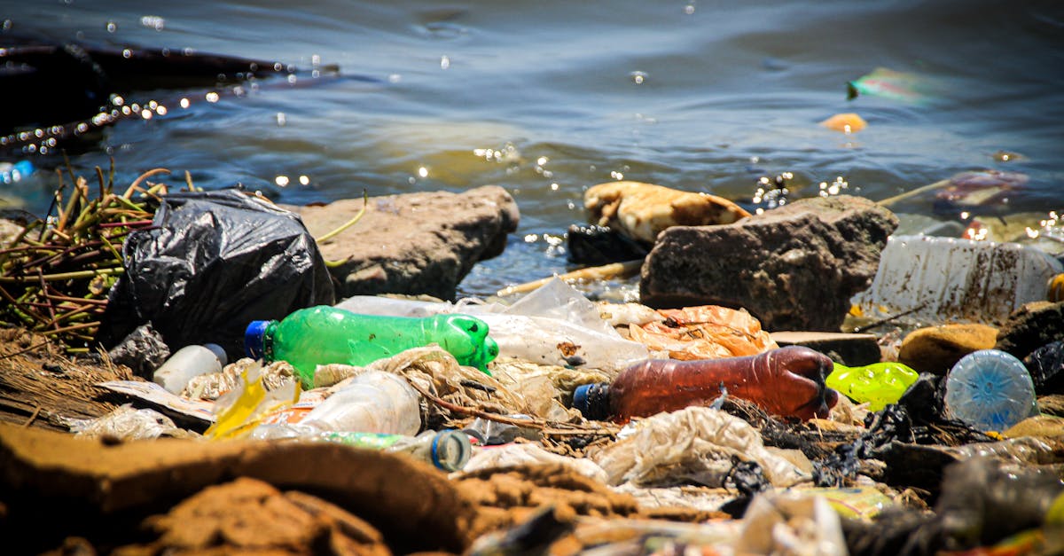 découvrez les enjeux du refus de l’emballage en bouteille et comment cette initiative contribue à la réduction des déchets plastiques. informez-vous sur les alternatives durables et participez à la préservation de notre environnement.