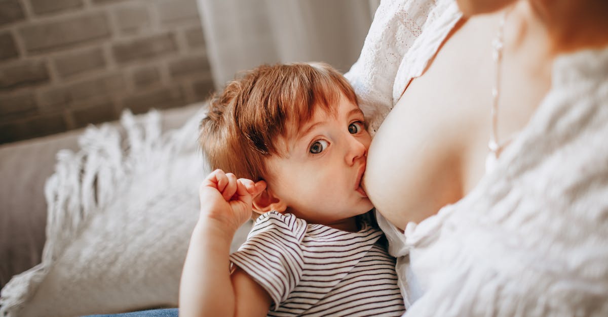 découvrez l'importance et les bienfaits de l'allaitement maternel pour la santé du bébé et de la mère. obtenez des conseils pratiques, des informations sur les techniques d'allaitement et des ressources pour soutenir votre parcours d'allaitement.