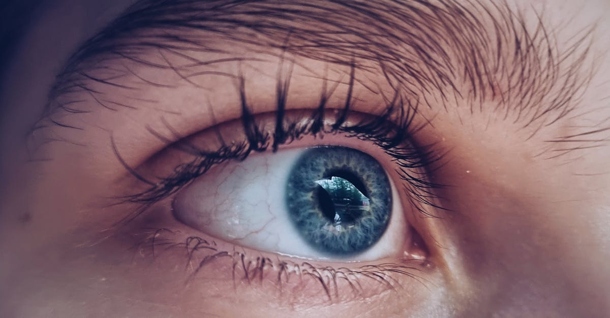 découvrez tout ce que vous devez savoir sur la dilatation cervicale, un processus essentiel durant la grossesse. apprenez comment cela se déroule, son importance pour l'accouchement et les signes à surveiller. informez-vous sur les étapes de la dilatation et ce que cela signifie pour la santé de la mère et du bébé.