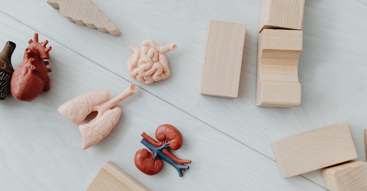 découvrez les étapes clés du développement de l'enfant, des compétences cognitives aux émotions, en passant par les interactions sociales. apprenez comment soutenir la croissance saine de votre enfant grâce à des conseils pratiques et des ressources utiles.