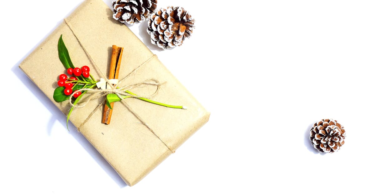 découvrez des idées créatives et amusantes pour réaliser vos propres décorations de noël avec notre guide diy. transformez votre fête en un moment unique et mémorable grâce à des projets faits main simples et festifs.
