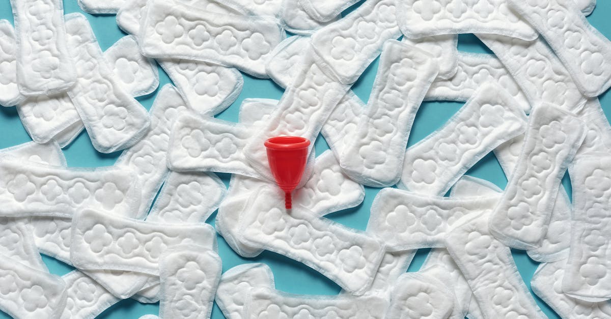découvrez tout ce qu'il faut savoir sur la contraception : méthodes, avantages, inconvénients et conseils pratiques pour choisir la solution qui vous convient le mieux. informez-vous sur les options disponibles pour gérer votre santé reproductive en toute sérénité.