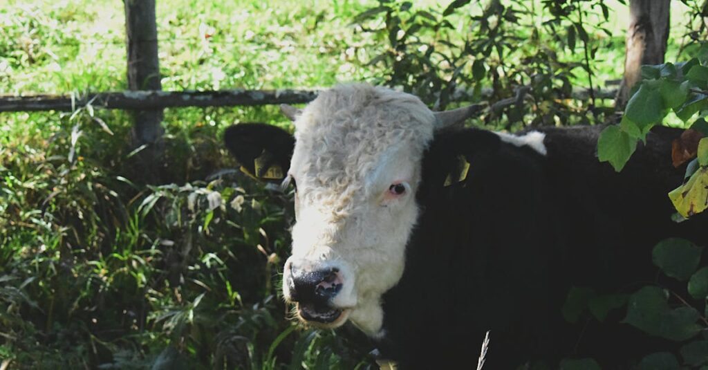 découvrez tout ce qu'il faut savoir sur l'introduction du lait de vache dans l'alimentation de votre enfant. apprenez les bienfaits, les précautions à prendre et des conseils pratiques pour une intégration réussie.