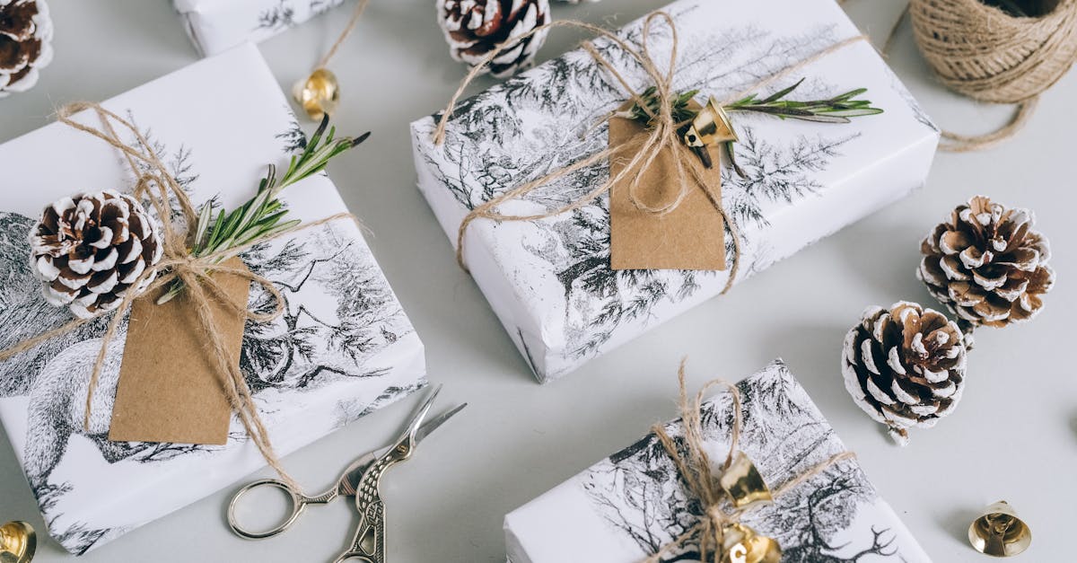 découvrez notre sélection de cadeaux écologiques et durables pour toutes les occasions. offrez des présents qui font le bonheur de vos proches tout en préservant notre planète. inspirez-vous et choisissez un cadeau qui allie qualité, respect de l'environnement et originalité.
