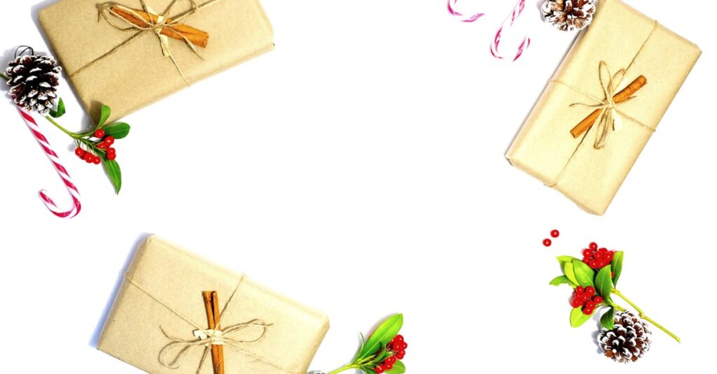 découvrez notre sélection de cadeaux écologiques qui allient à la fois style et respect de l'environnement. offrez des produits durables et responsables pour faire plaisir sans compromettre la planète.