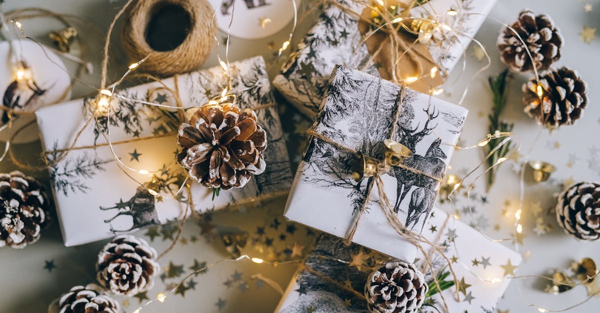 découvrez notre sélection de cadeaux éco-responsables qui allient style et durabilité. offrez des options respectueuses de l'environnement pour toutes les occasions, tout en faisant un geste positif pour la planète.