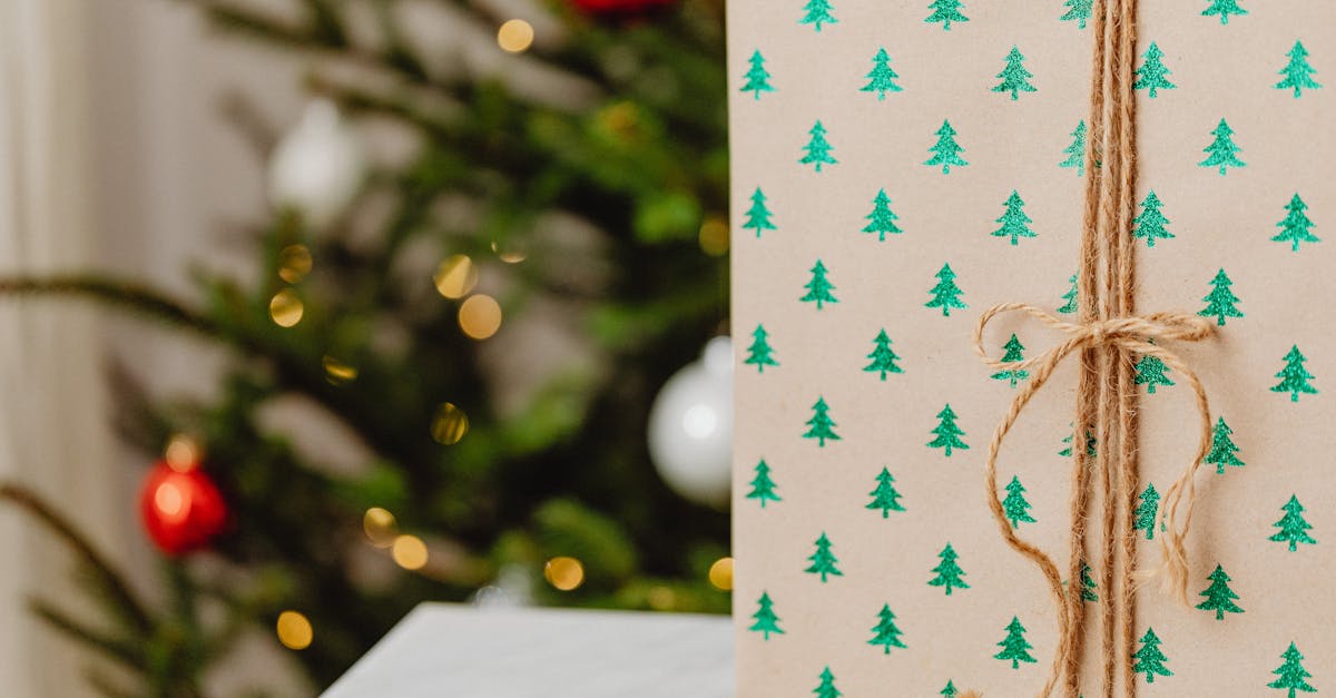 découvrez notre collection de cadeaux éco-responsables pour faire plaisir tout en respectant notre planète. offrez des produits durables, fabriqués à partir de matériaux respectueux de l'environnement et participez à un avenir plus vert.