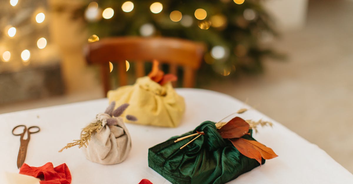 découvrez notre sélection de cadeaux écoresponsables qui allient style et durabilité. offrez des présents respectueux de l'environnement tout en faisant plaisir à vos proches. idéal pour toutes les occasions, ces cadeaux éthique et durables sont parfaits pour les amoureux de la nature.