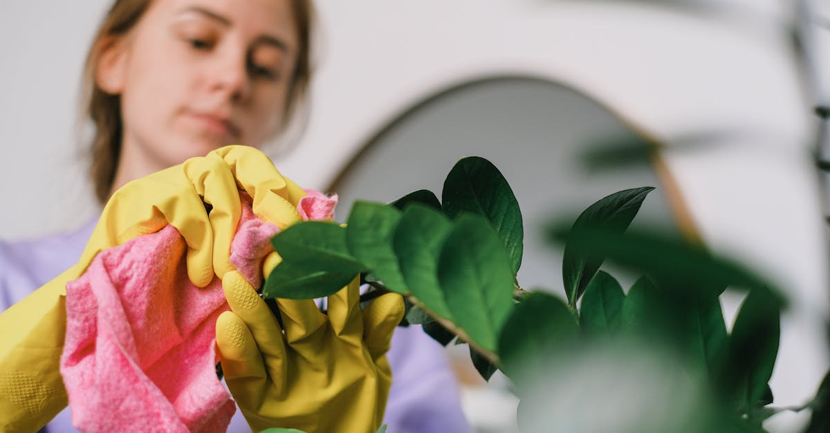 découvrez nos lingettes écologiques, conçues pour un nettoyage efficace tout en respectant l'environnement. fabriquées à partir de matériaux durables, elles sont idéales pour tous vos besoins quotidiens, sans nuire à la planète.