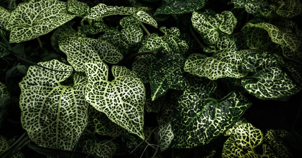 découvrez nos lingettes écologiques, conçues pour un nettoyage efficace tout en respectant l'environnement. idéales pour la maison et les voyages, elles allient praticité et durabilité.