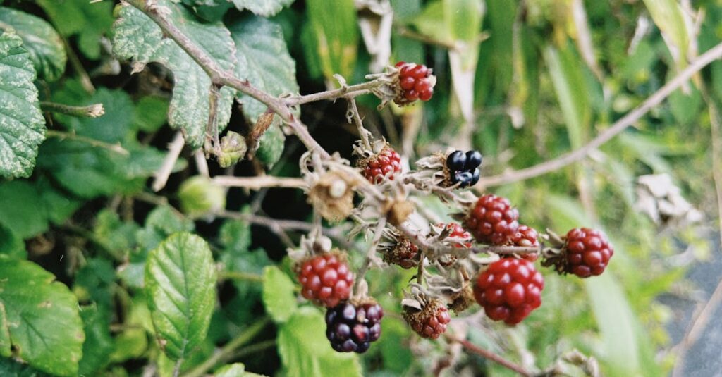 découvrez notre pâte à modeler comestible, une activité amusante et sûre pour les enfants. fabriquée avec des ingrédients naturels, elle stimule la créativité tout en étant délicieuse. parfaite pour des moments ludiques et gourmands !