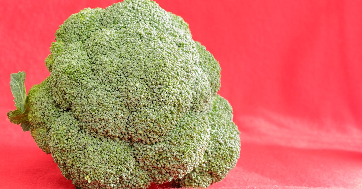 découvrez notre pâte à modeler comestible, une activité ludique et savoureuse pour les petits artistes ! facile à préparer, cette pâte colorée et sécuritaire permettra aux enfants de créer des œuvres d'art tout en s'amusant. idéale pour les goûters créatifs ou les fêtes d'anniversaire!