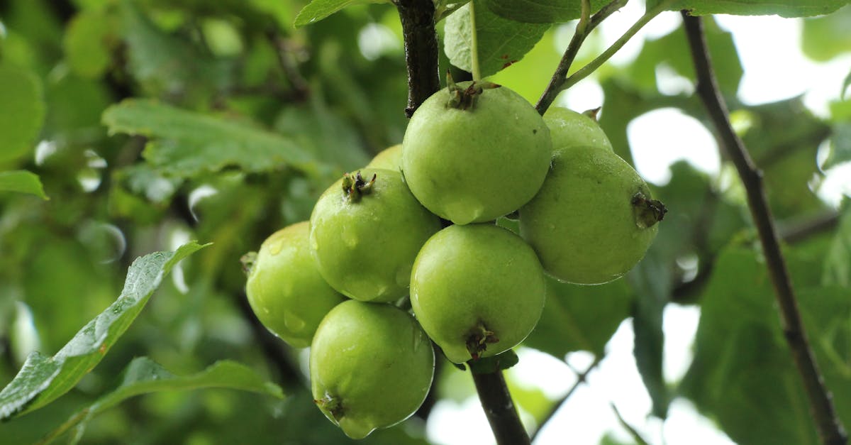 découvrez notre pâte à modeler comestible, parfaite pour stimuler la créativité des enfants tout en garantissant une expérience sûre et délicieuse. fabriquée avec des ingrédients naturels, cette pâte colorée offre des heures de jeu amusant et gourmand. idéale pour les ateliers de loisirs créatifs et les activités sensorielles, faites de chaque moment un pur délice !
