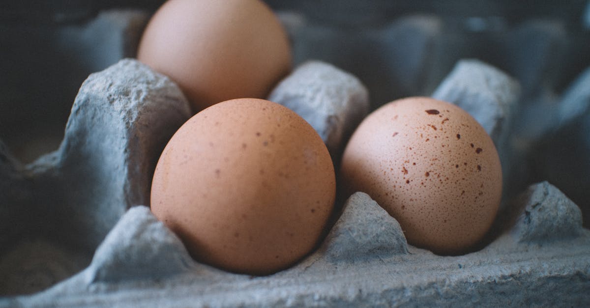 découvrez tout ce que vous devez savoir sur les œufs : leurs bienfaits pour la santé, des recettes savoureuses et des conseils de cuisson pour les intégrer dans votre alimentation quotidienne.
