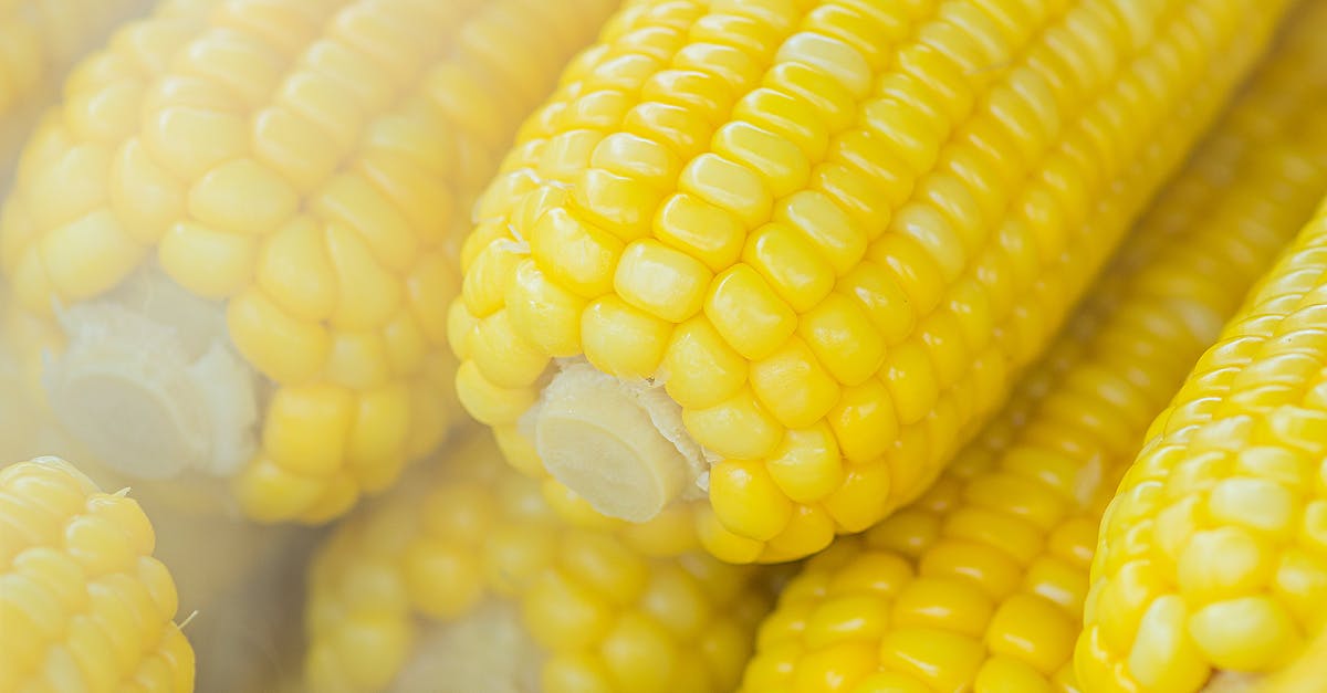 découvrez notre sélection d'aliments énergétiques qui boostent votre vitalité et améliorent vos performances. idéaux pour les sportifs et ceux en quête d'énergie durable, ces super-aliments naturels vous accompagnent tout au long de la journée. nourrissez votre corps avec les meilleurs choix nutritionnels !